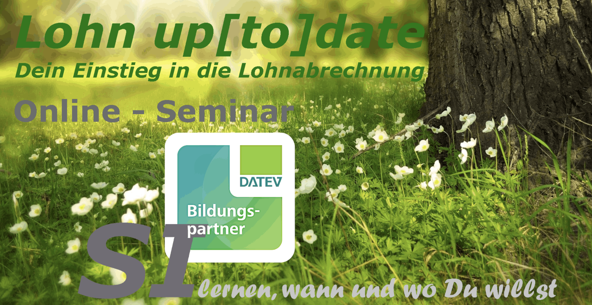 Demo Lohn up[to]date